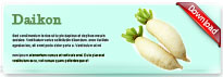 daikon-thum-en