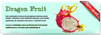 dragonfruit-thum-en