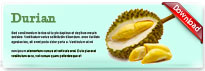 durian-thum-en