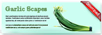 garlicscapes-thum-en