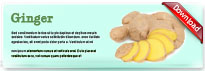ginger-thum-en