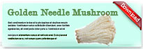 goldenmushroom-thum-en