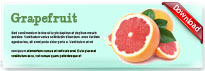 grapefruit-thum-en