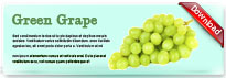 greengrape-thum-en