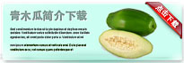 greenpapaya-thum-cn