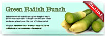 greenradishbunch-thum-en