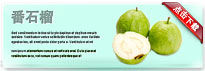 guava-thum-cn