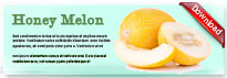 honeymelon-thum-en