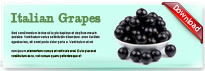 italiangrapes-thum-en
