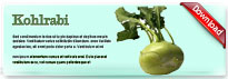 kohlrabi-thum-en