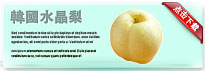 koreanpear-thum-cn
