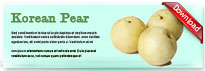koreanpear-thum-en