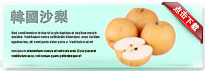 koreanshali-thum-cn