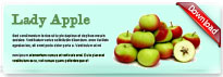 ladyapple-thum-en