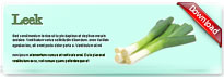 leek-thum-en