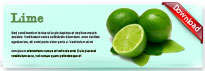 lime-thum-en