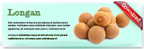 longan-thum-en