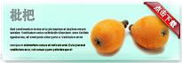 loquat-thum-cn