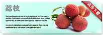 lychee-thum-cn