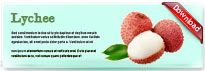 lychee-thum-en