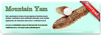 mountainyam-thum-en