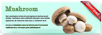 mushroom-thum-en
