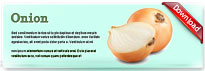 onion-thum-en