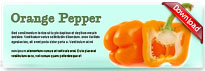 orangepepper-thum-en