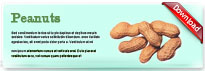 peanuts-thum-en