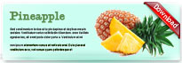 pineapple-thum-en