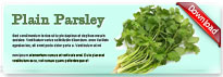 plainparsley-thum-en