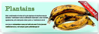 plantains-thum-en