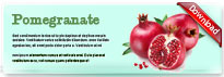 pomegranate-thum-en