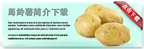 potato-thum-cn