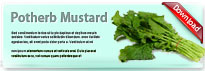 potherbmustard-thum-en