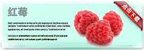 raspberry-thum-cn