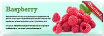 raspberry-thum-en