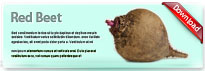 redbeet-thum-en