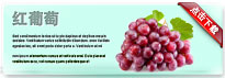 redgrape-thum-cn