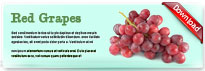 redgrape-thum-en