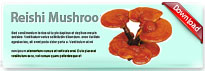 reishimushroom-thum-en