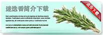 rosemary-thum-cn