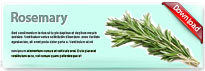 rosemary-thum-en