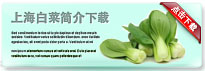 shanghaibokchoy-thum-cn