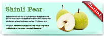 shinlipear-thum-en