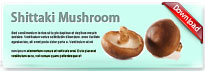 shittakimushroom-thum-en