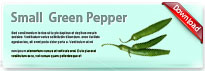 smallgreenpepper-thum-en