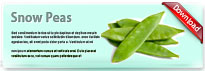 snowpeas-thum-en