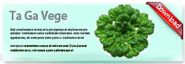 tagavege-thum-en