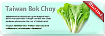 taiwanbokchoy-thum-en